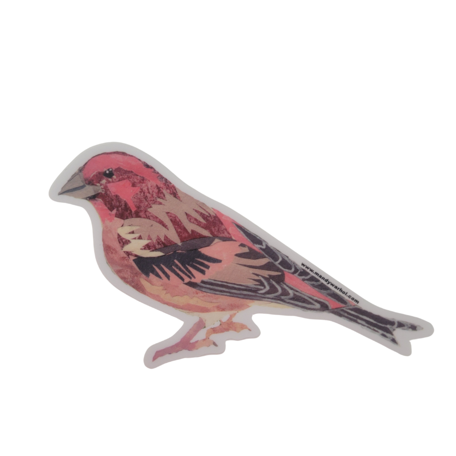 Purple Finch Sticker